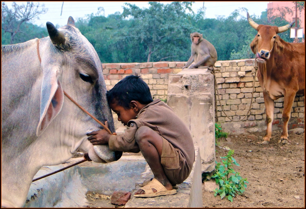 Children_and_Animals_____by_Indiangal